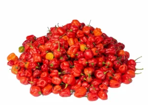 habenero pepper