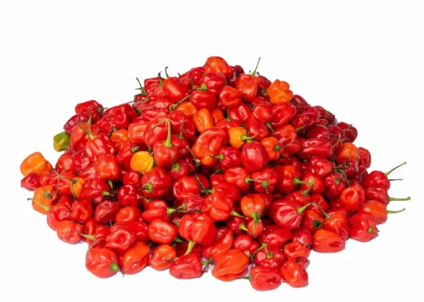 habenero pepper