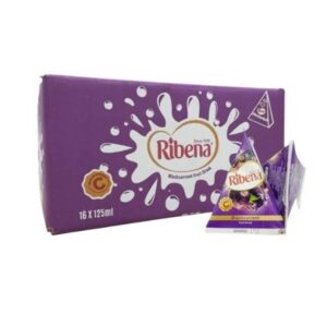 Ribena Blackcurrant Fruit Drink 125ml